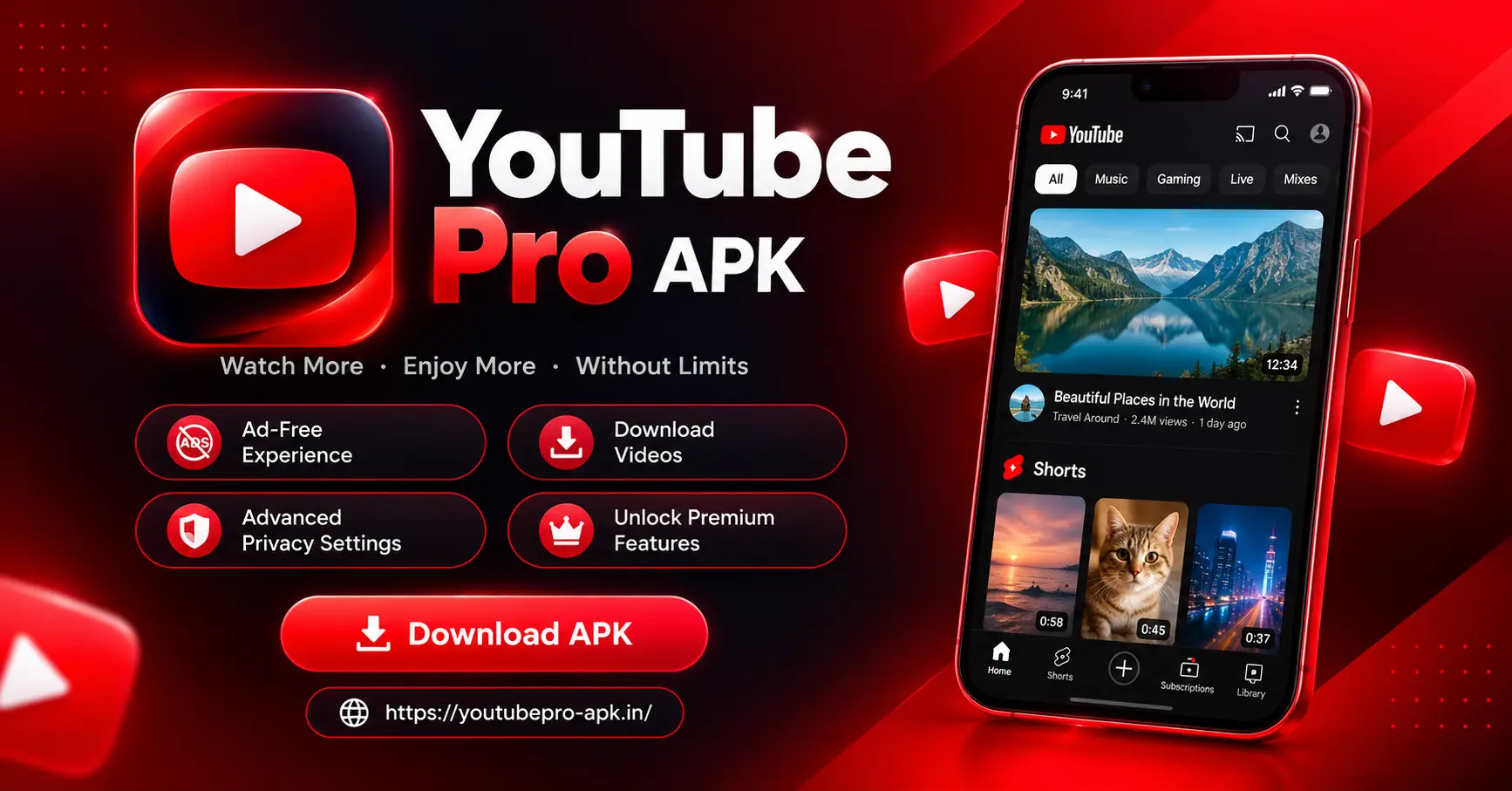 Youtube Pro